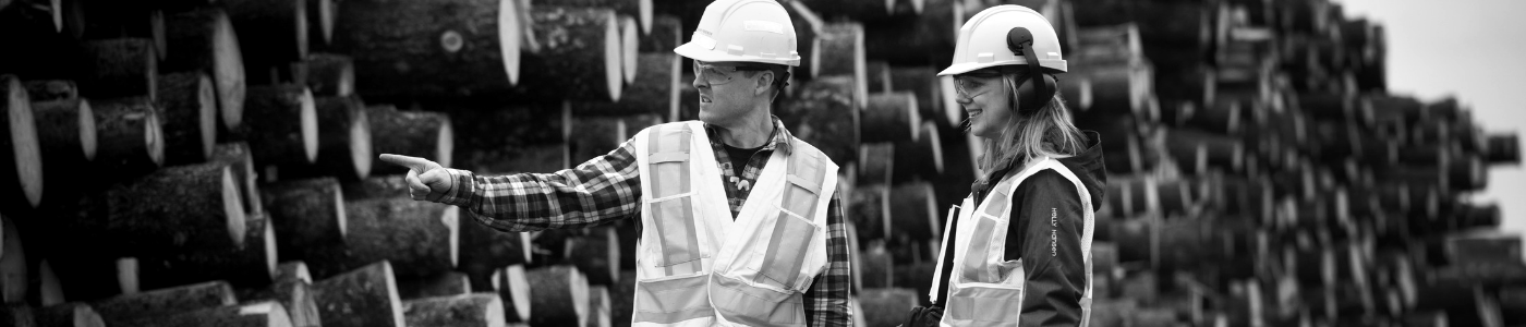 banner1636960304416679976